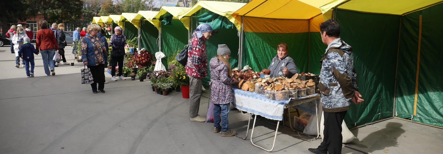 Сибирские садоводы показали на ярмарке арбузы и фиолетовые томаты