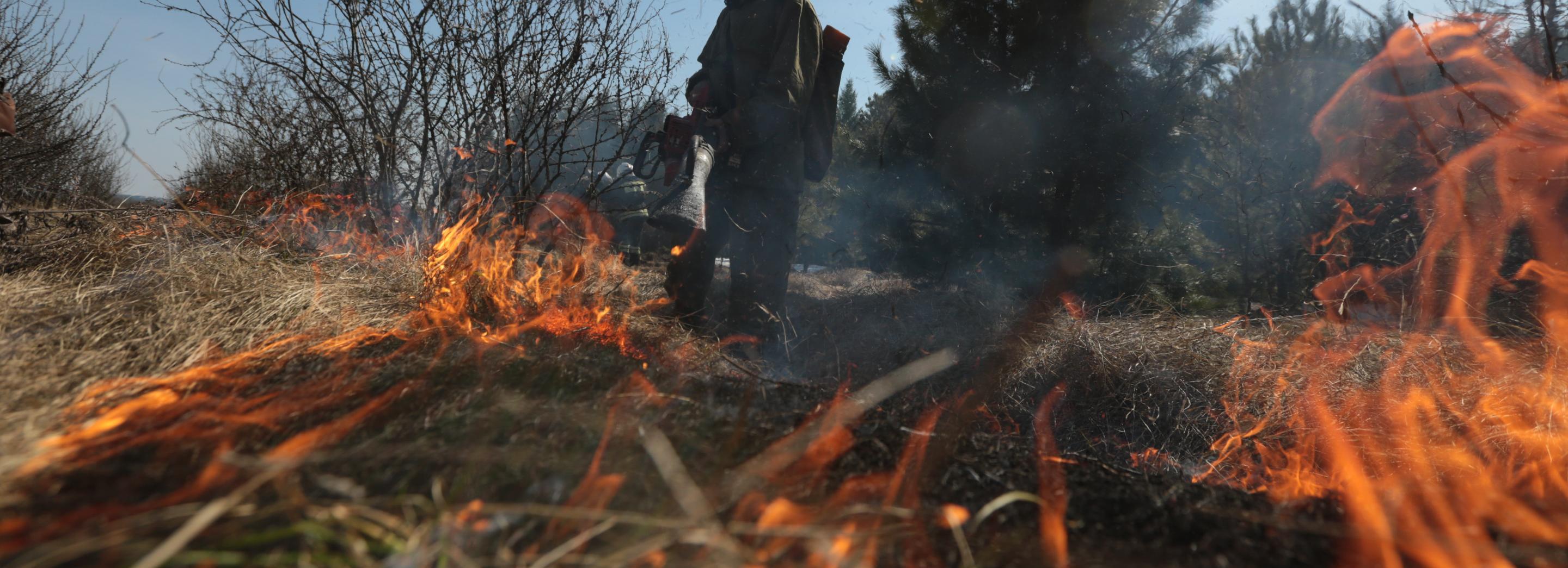 Новосибирцев просят к зиме очистить дворы от мусора и сухой травы