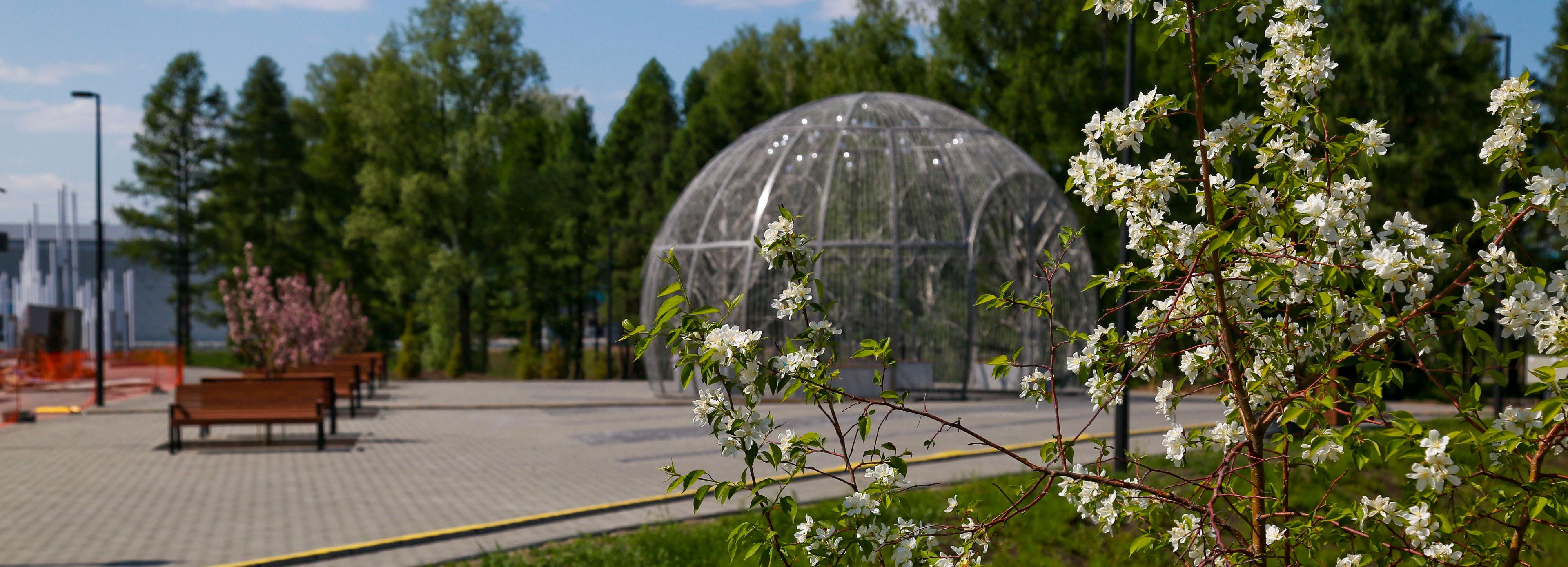 Все работы в новосибирском парке «Арена» завершат до 20 июня