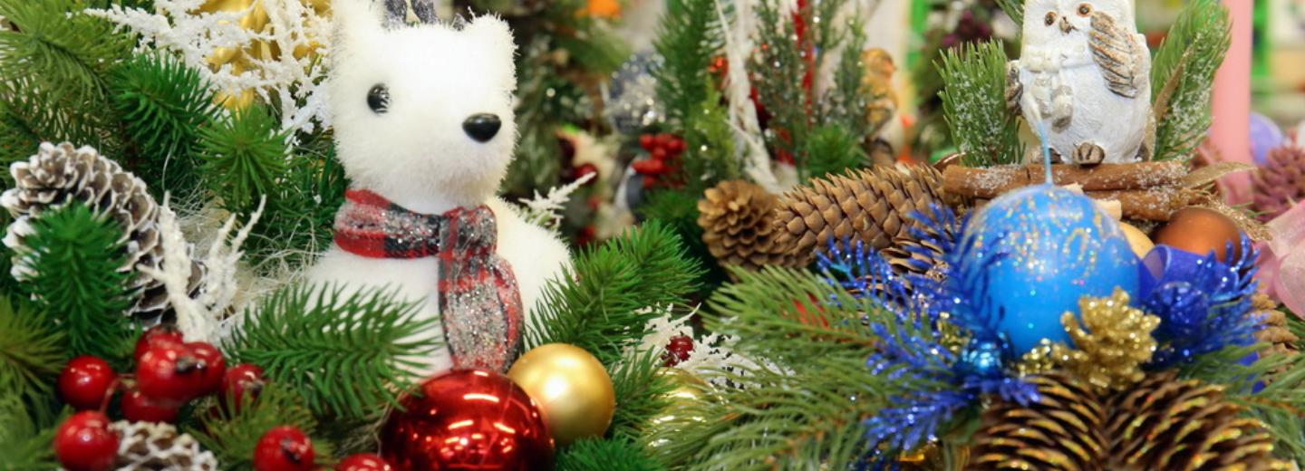 Новый год для сирот: как живут воспитанники центра «Тёплый дом»