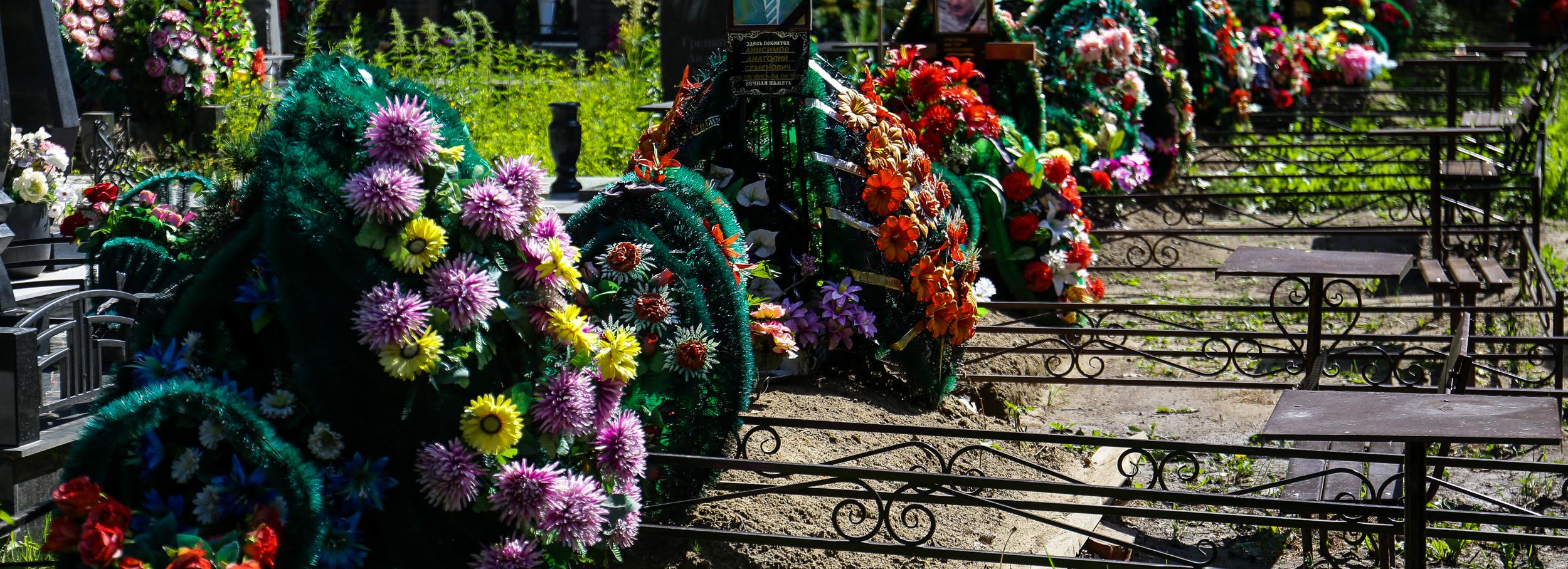 Клещей потравят на кладбищах Новосибирска к 25 мая