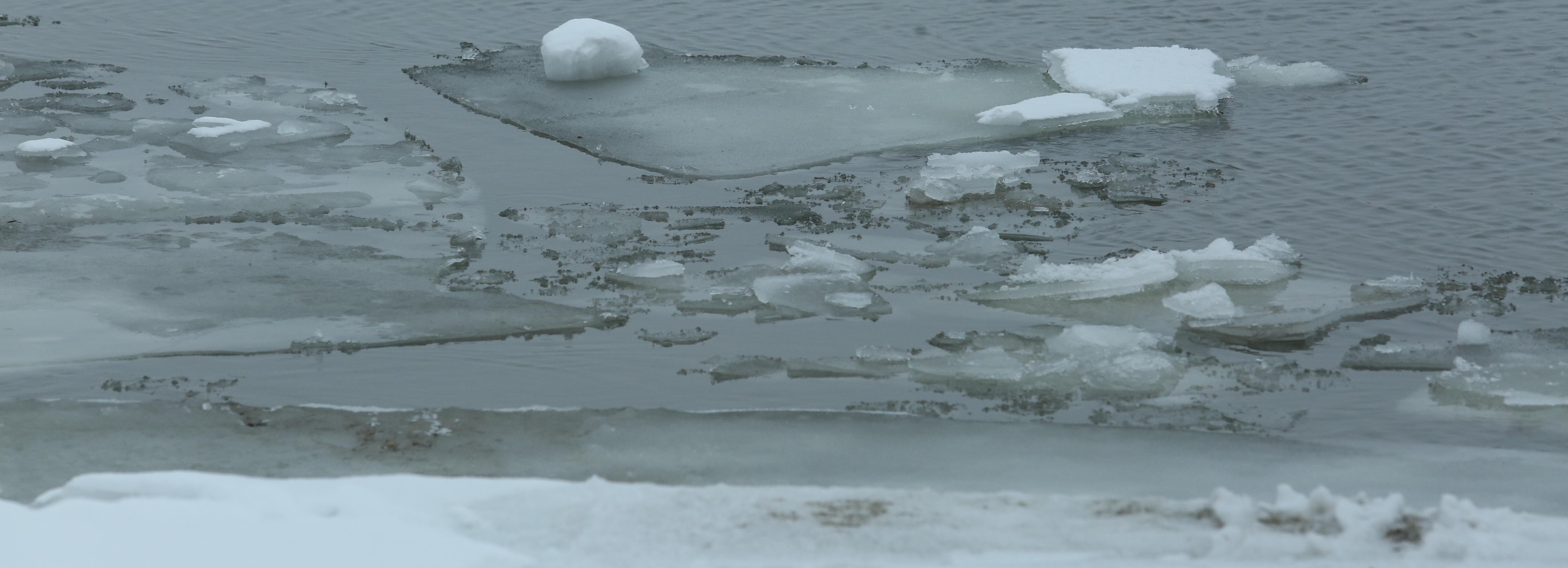 В Новосибирской области 17-летний подросток утонул, спасая друга