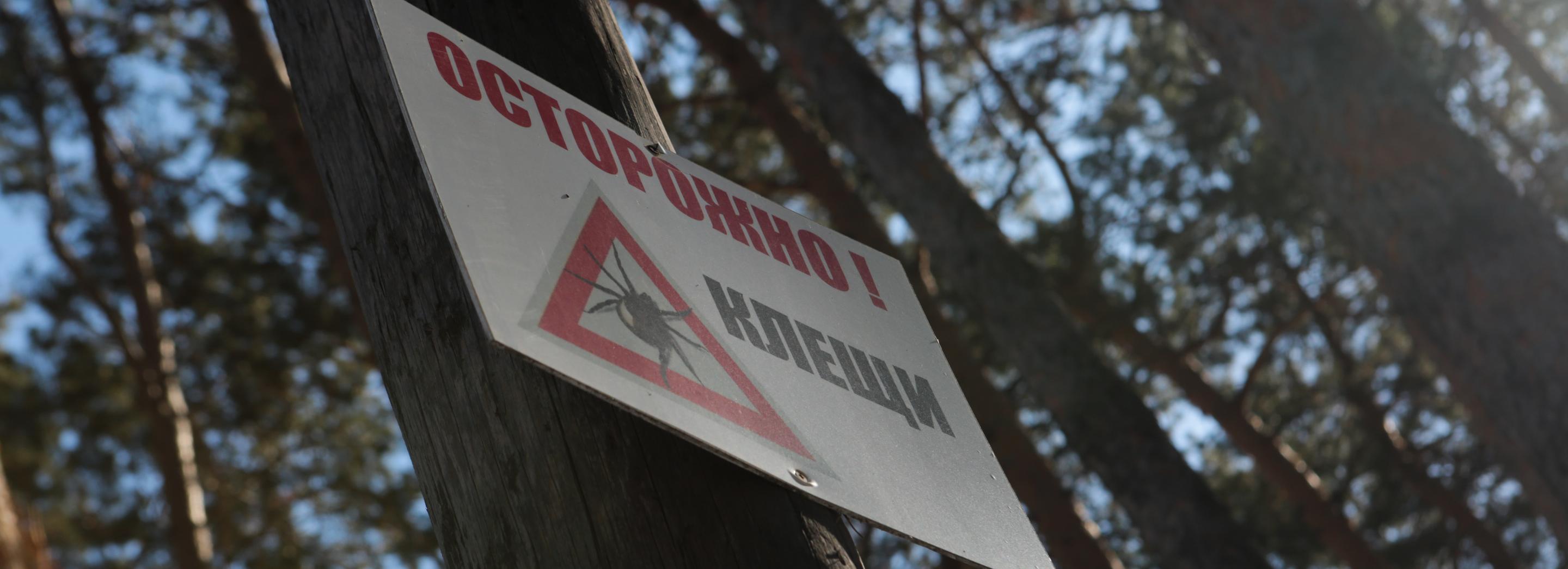 Когда парки в Новосибирске начнут обрабатывать от клещей