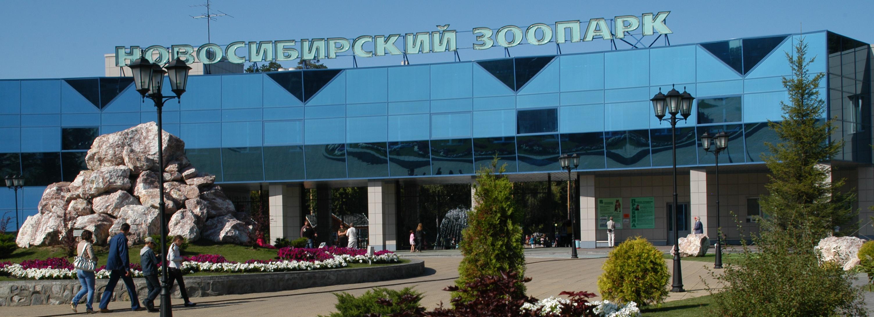 Беби-бум-2023: кто родился в зоопарке Новосибирска в год водяного кролика