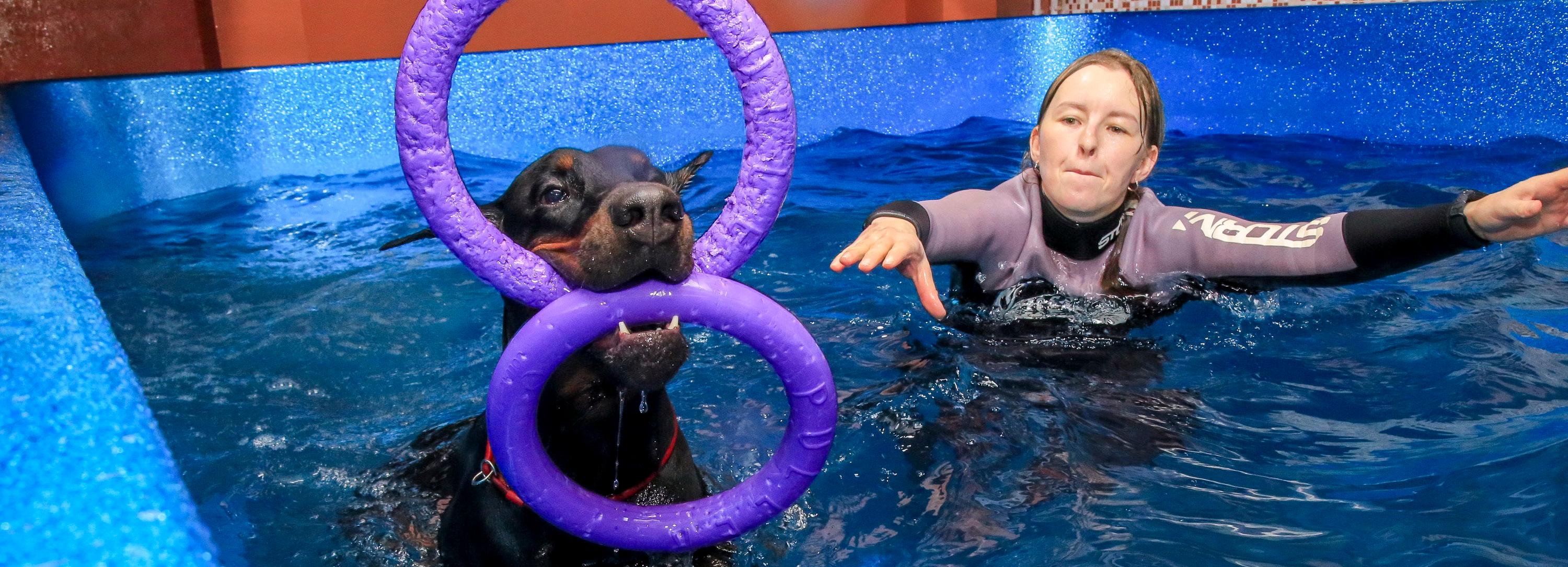 Новосибирская неделя: разморозка долгостроев и SPA для собак