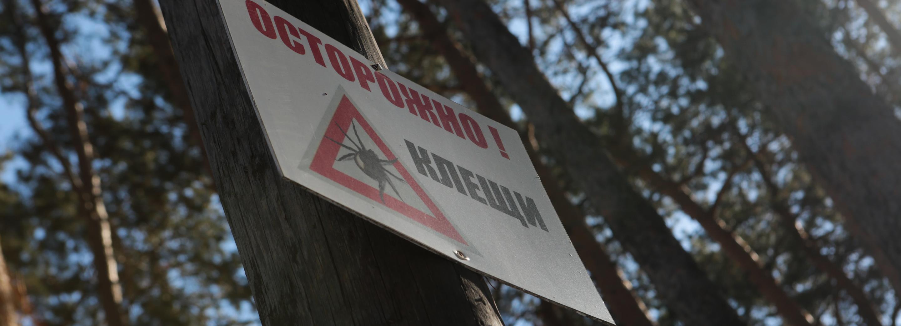 Клещи стали вдвойне активнее в 2022 году в Новосибирской области