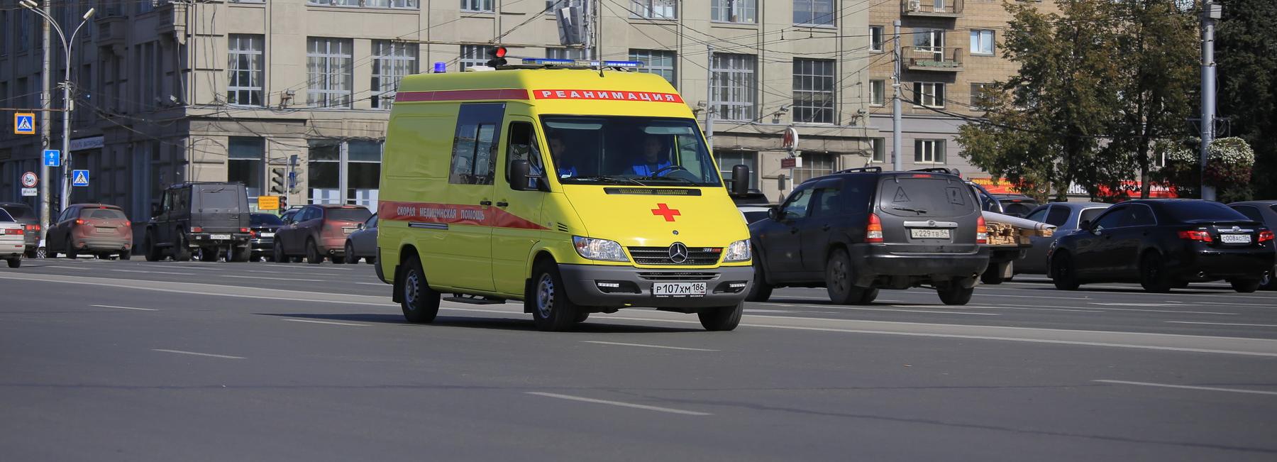 12 погибли, 39 выздоровели: сводка по ковиду в Новосибирске