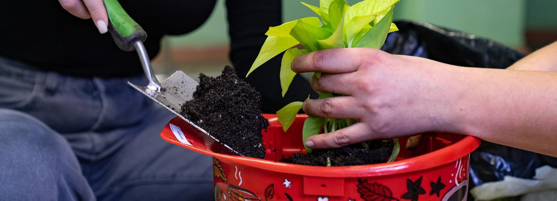 Оранжерею из списанных касок создали на ТЭЦ-3