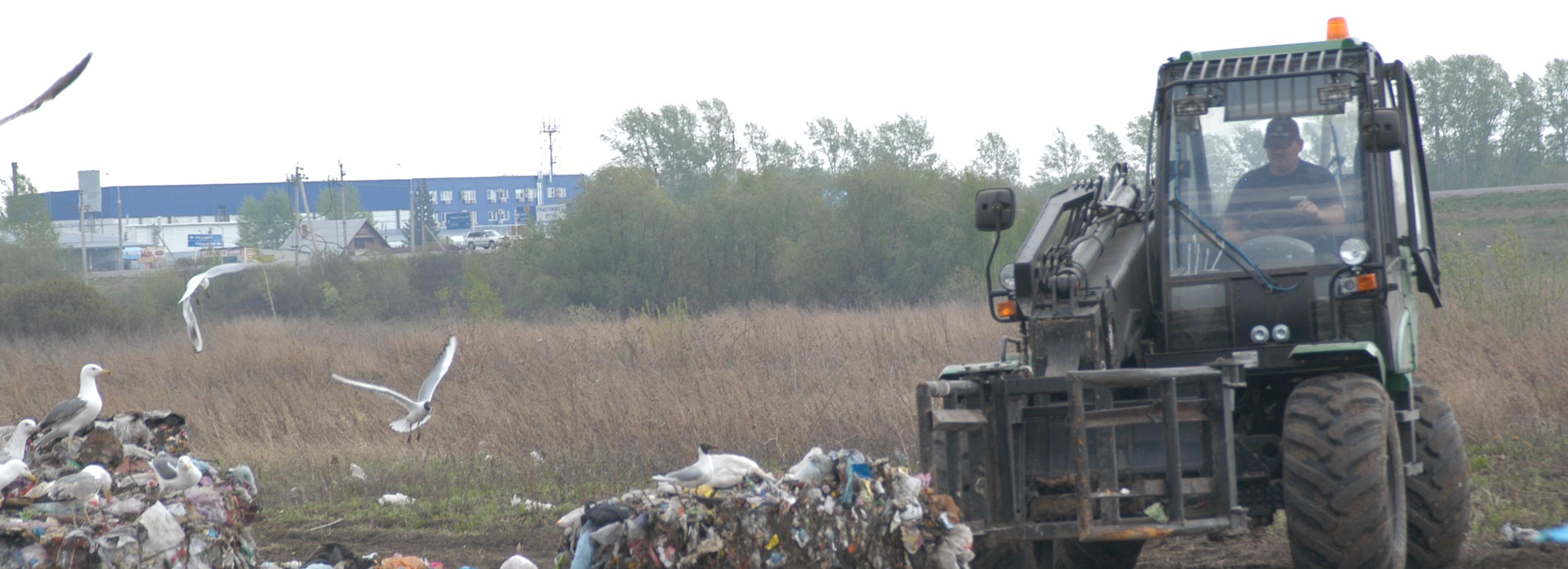 Депутаты о мусоре в Новосибирске: «Сменить регоператора мешает закон»