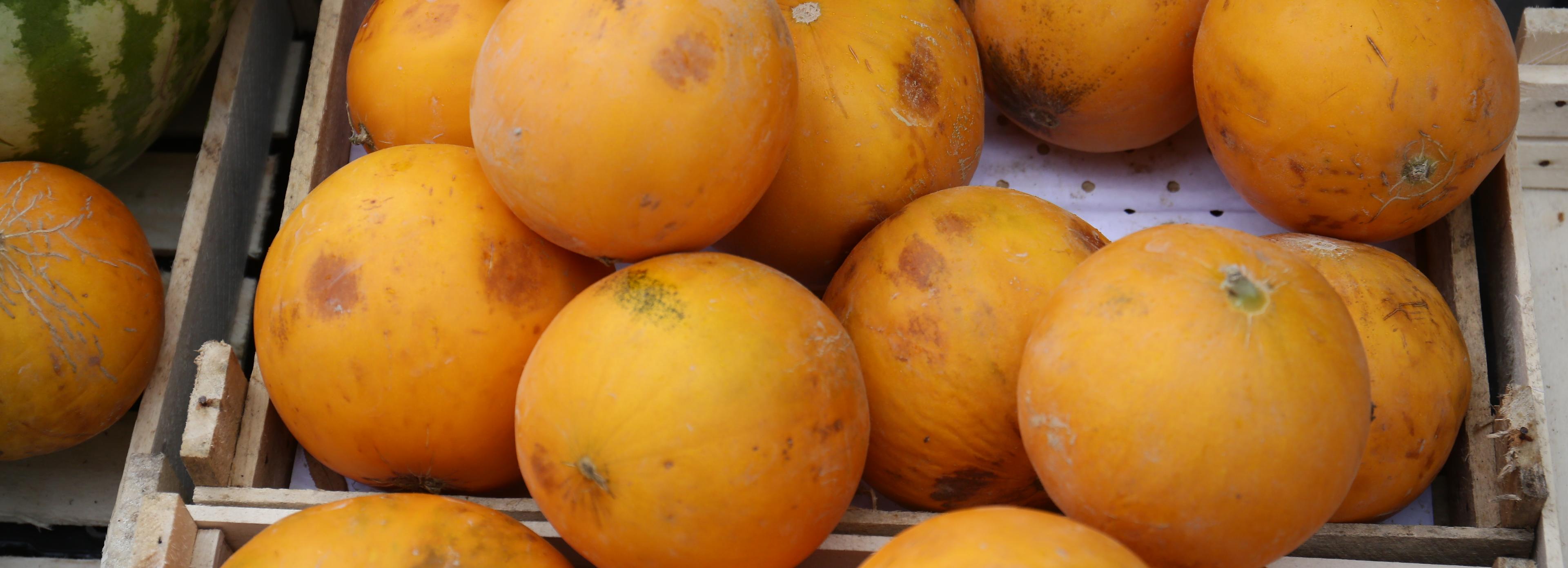 Ароматная и глухая: как выбрать правильную дыню