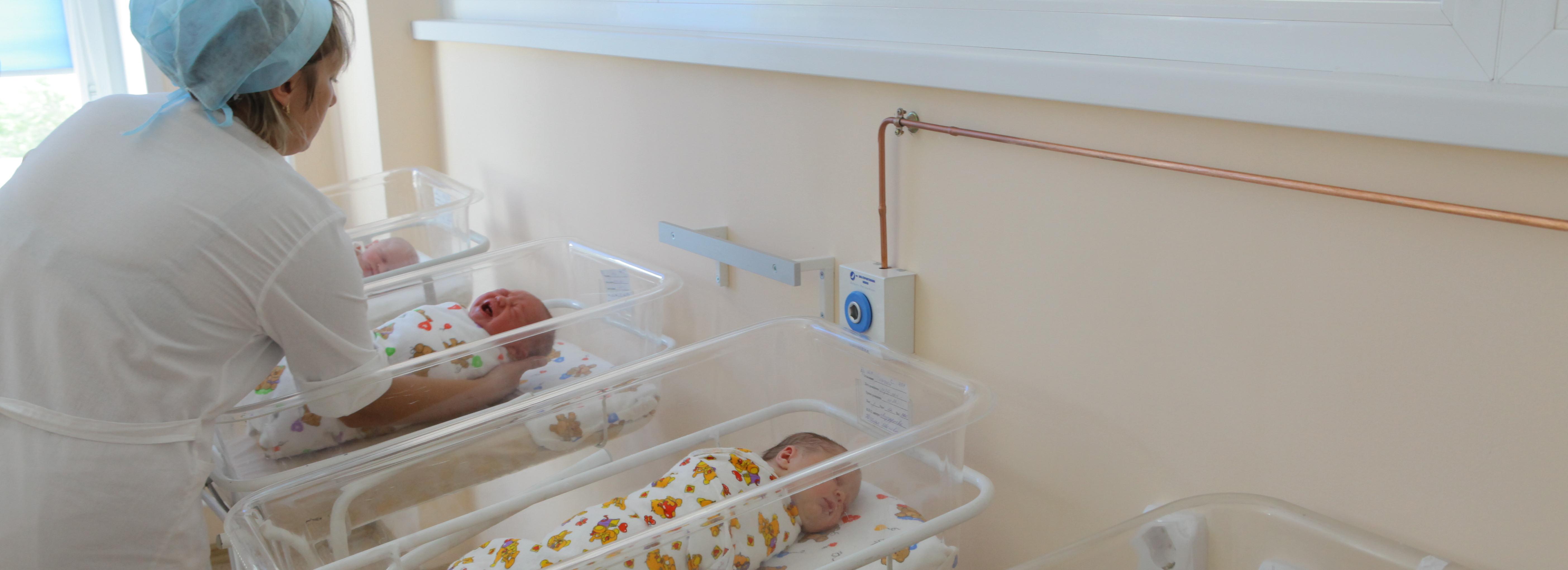 Вольф, Данте и Елесения родились в Новосибирской области