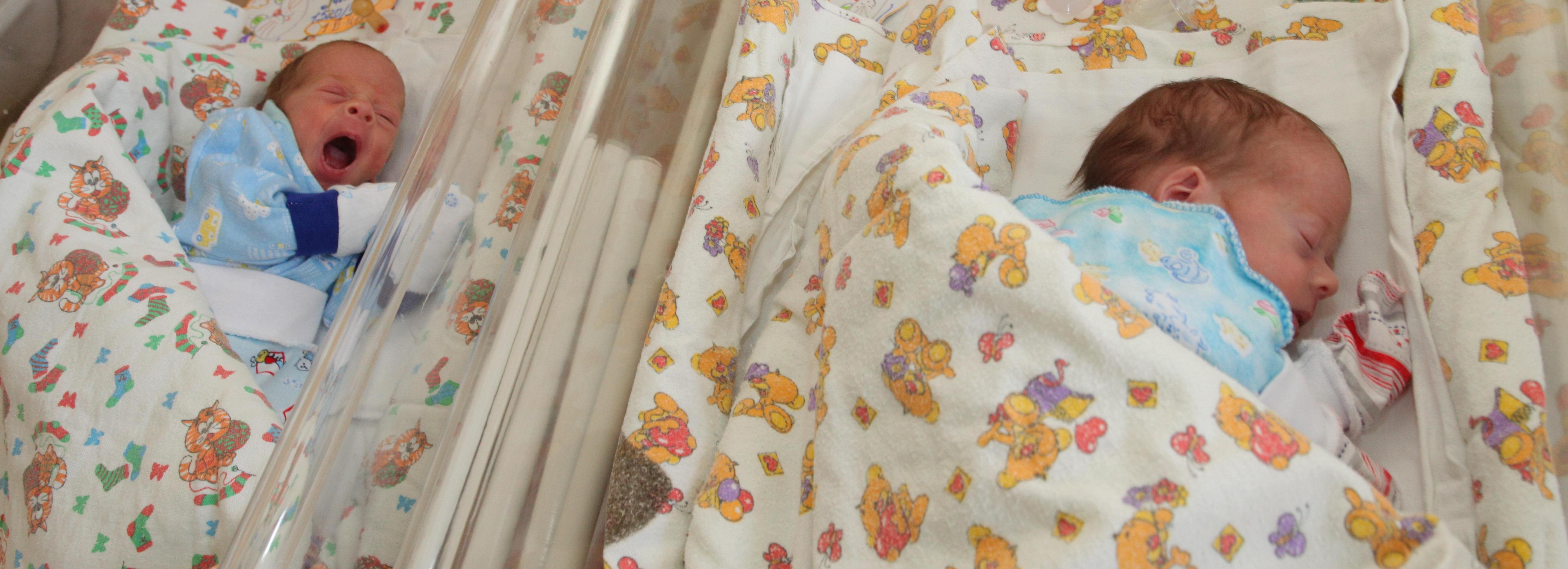 Луна, Добрыня и Горыня: как новосибирцы называли детей в 2022 году