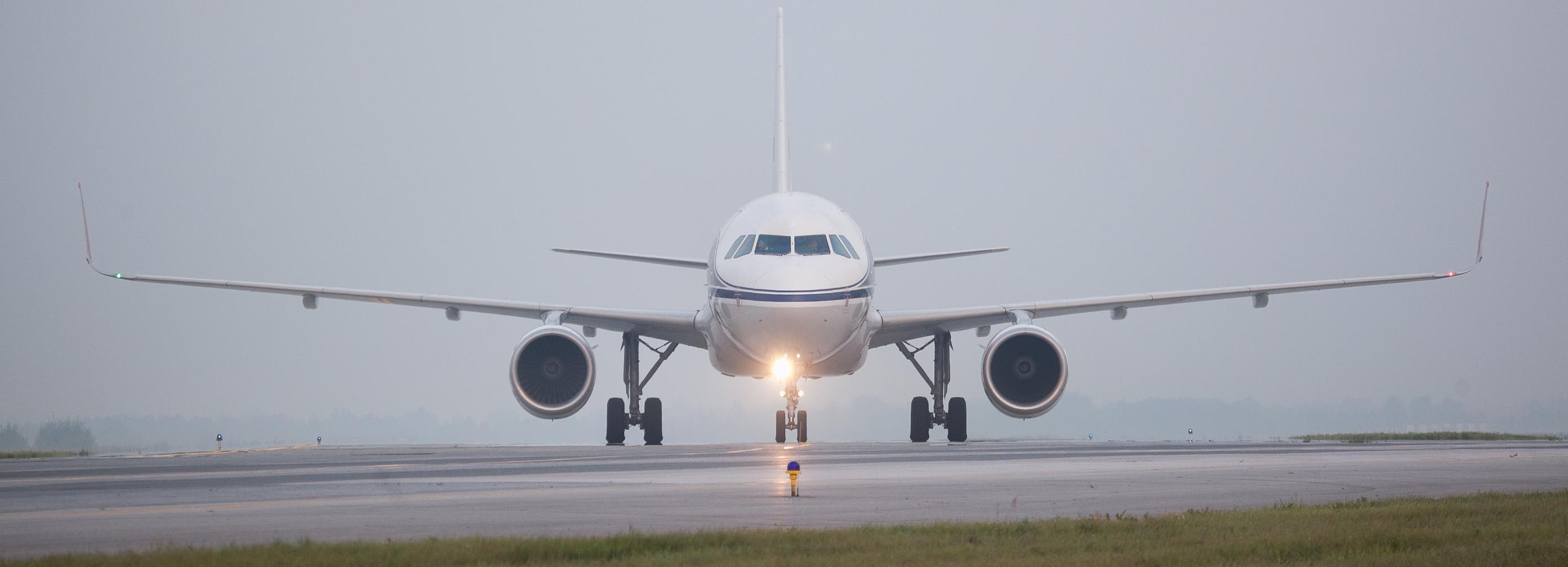 Врезавшаяся в самолёт птица посадила его в аэропорту Толмачёво