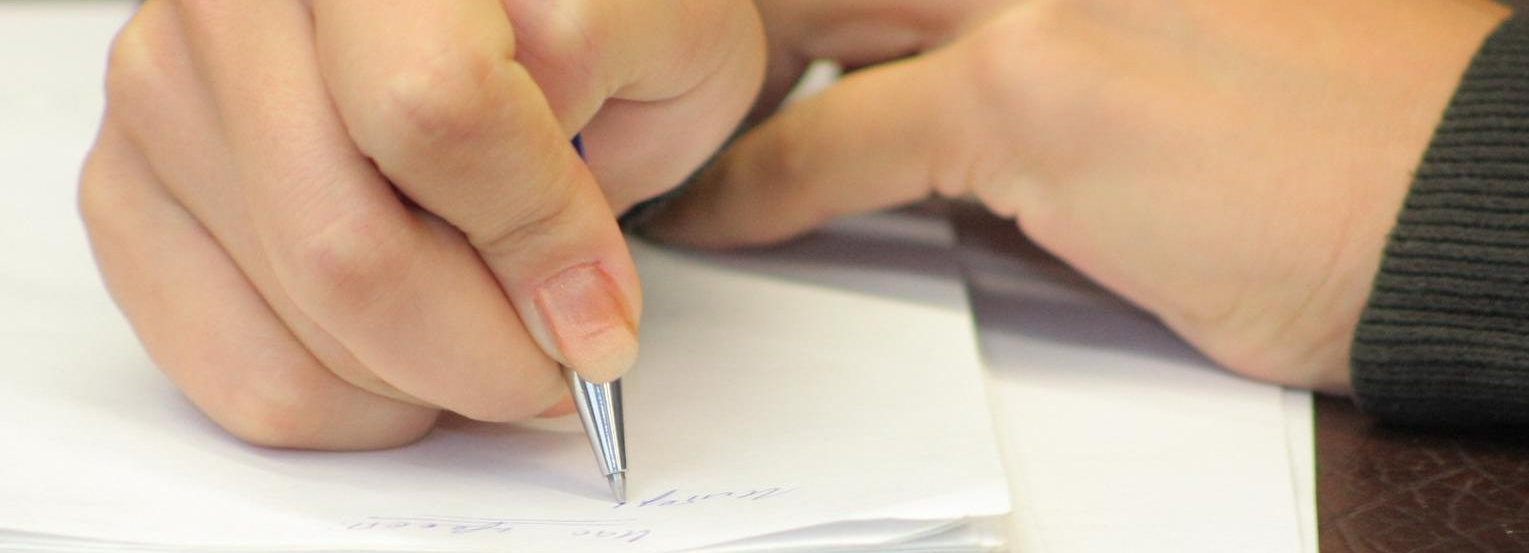 На переписи населения зададут 33 вопроса — о чём будут спрашивать