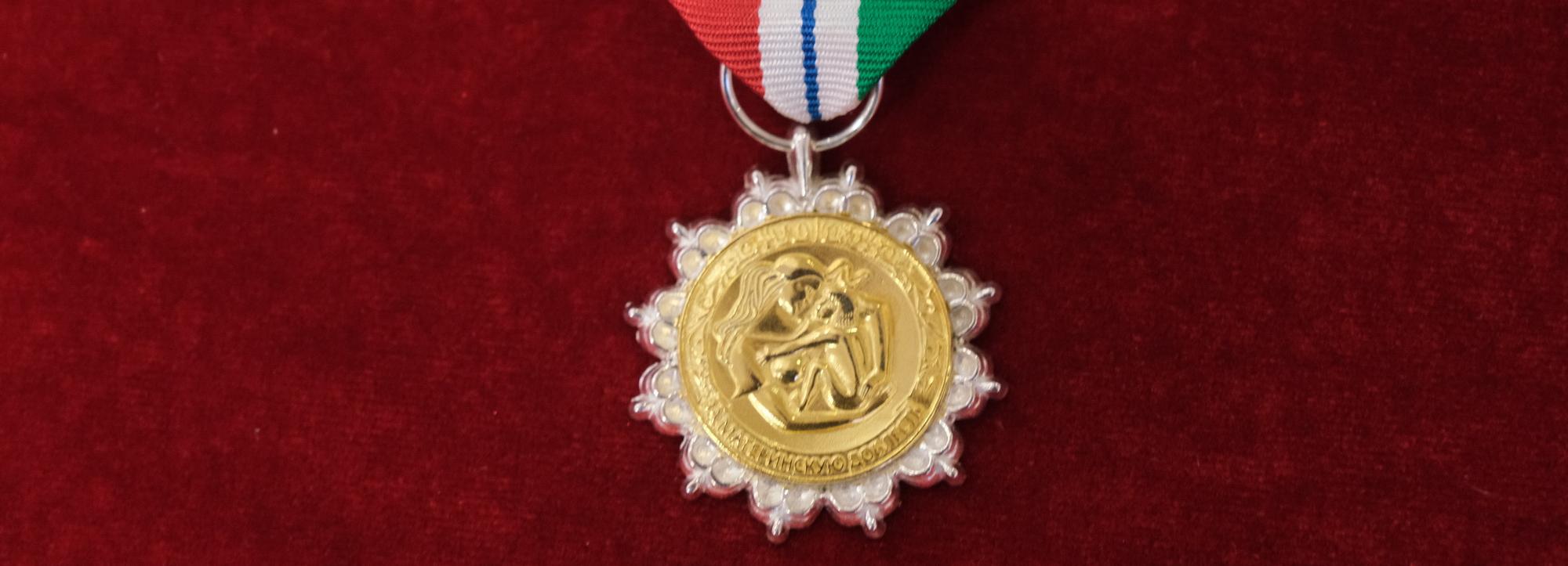 Травников вручил 15 женщинам знаки «За материнскую доблесть»