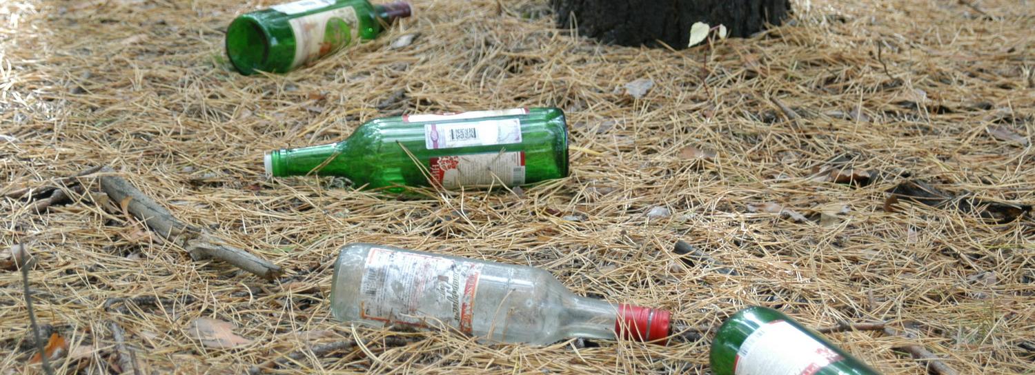 Жить экологично: пять способов перестать вредить планете