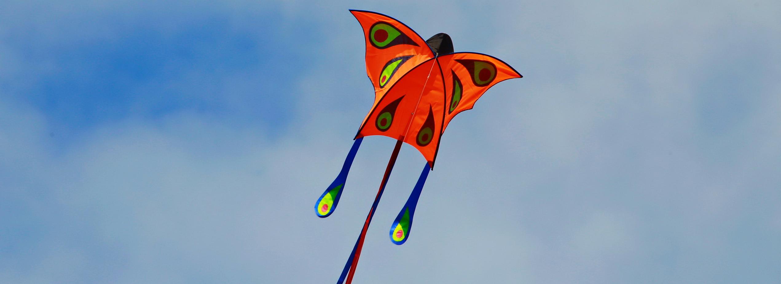 Афиша выходных: Октоберфест, шоу воздушных змеев и экскурсионный батл