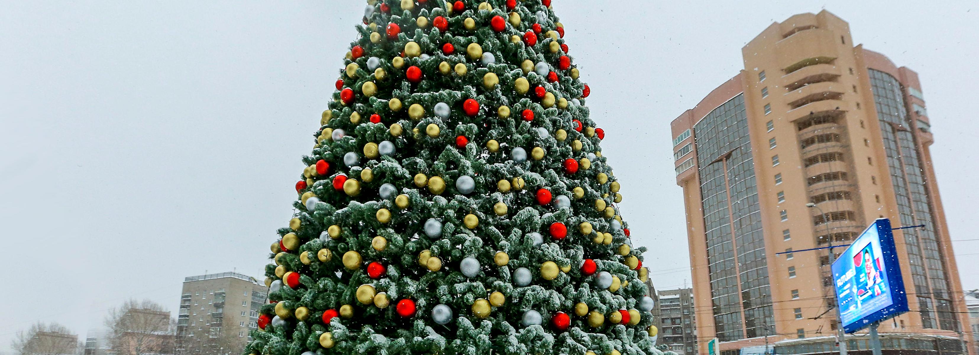 Огромную красавицу-ёлку зажгли возле цирка в Новосибирске