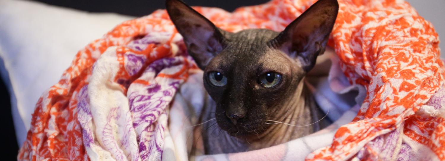 Первые 24 жилых дома подключили к теплу в Новосибирске