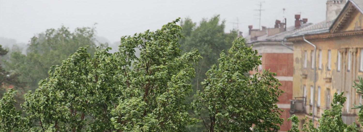 В Новосибирске резко похолодает до +11 градусов