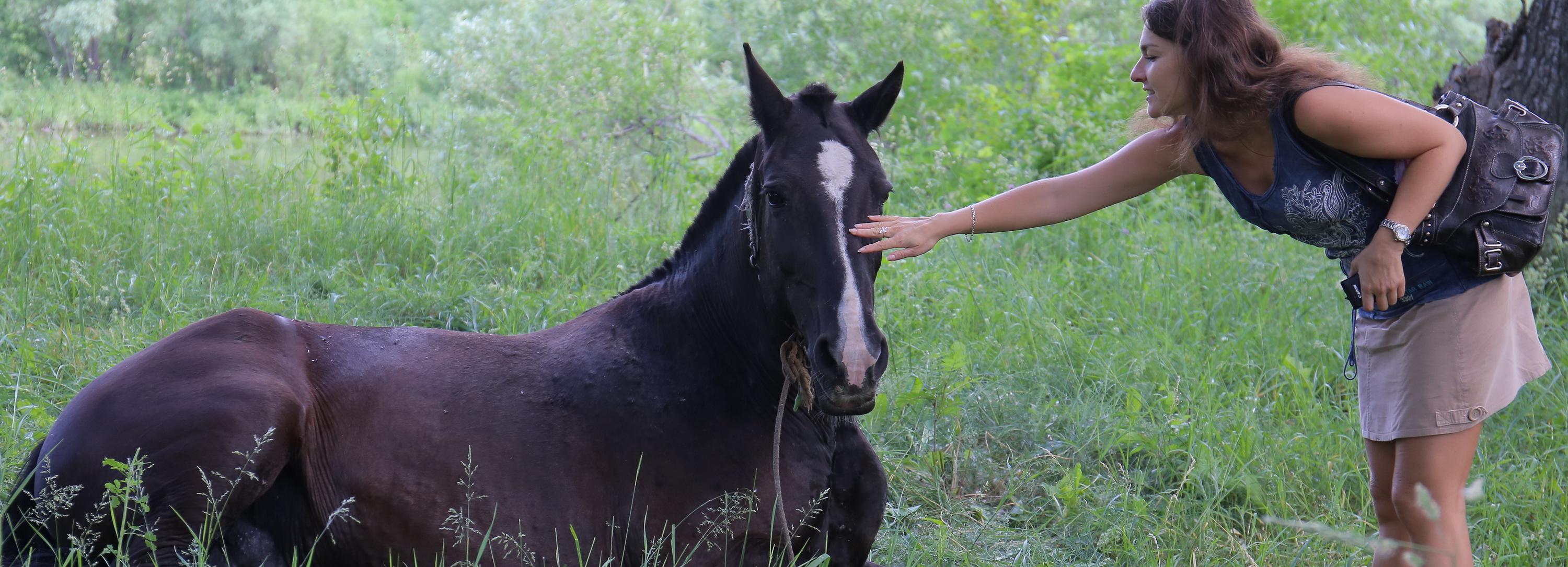 Афиша выходных: конные скачки, стихосушка и запуск воздушных змеев