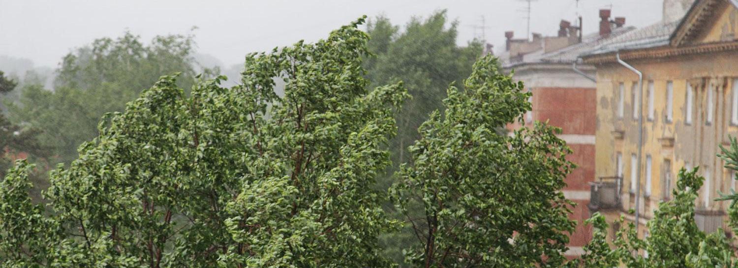 О сильном ветре до 20 м/с предупредили новосибирцев спасатели
