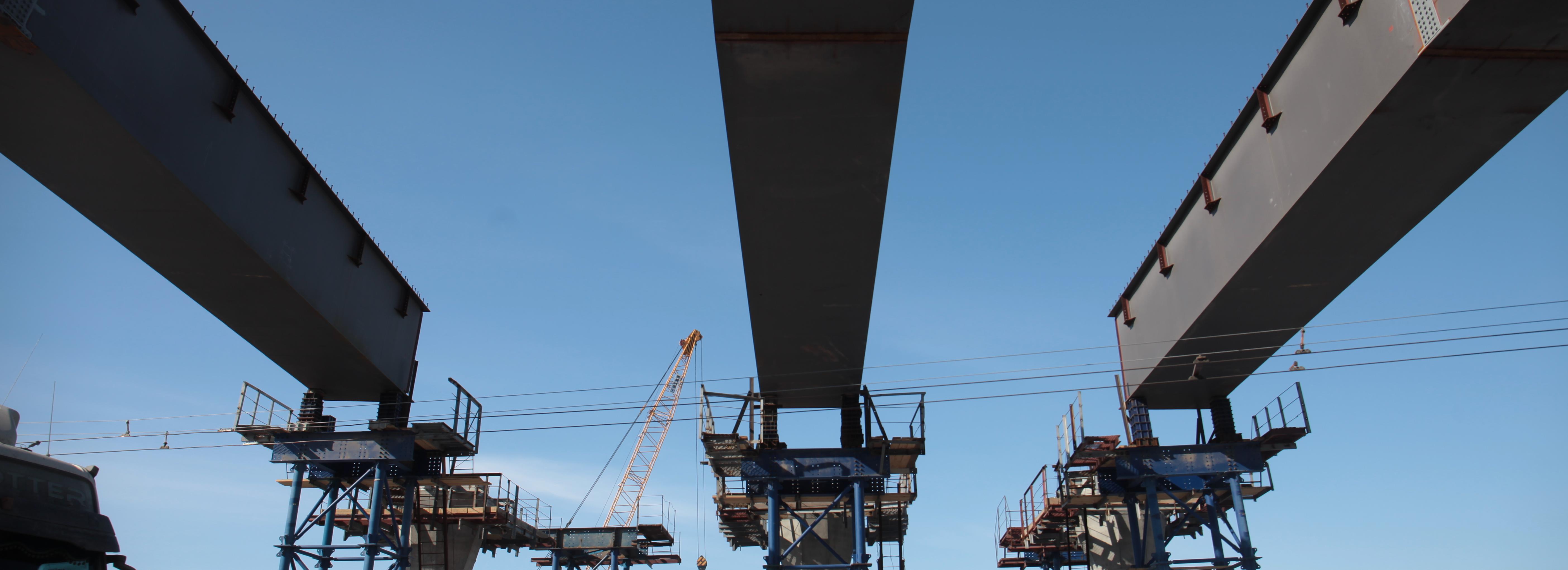 Если вы пропустили: выборы мэра, великая стройка и портфель Покрышкина