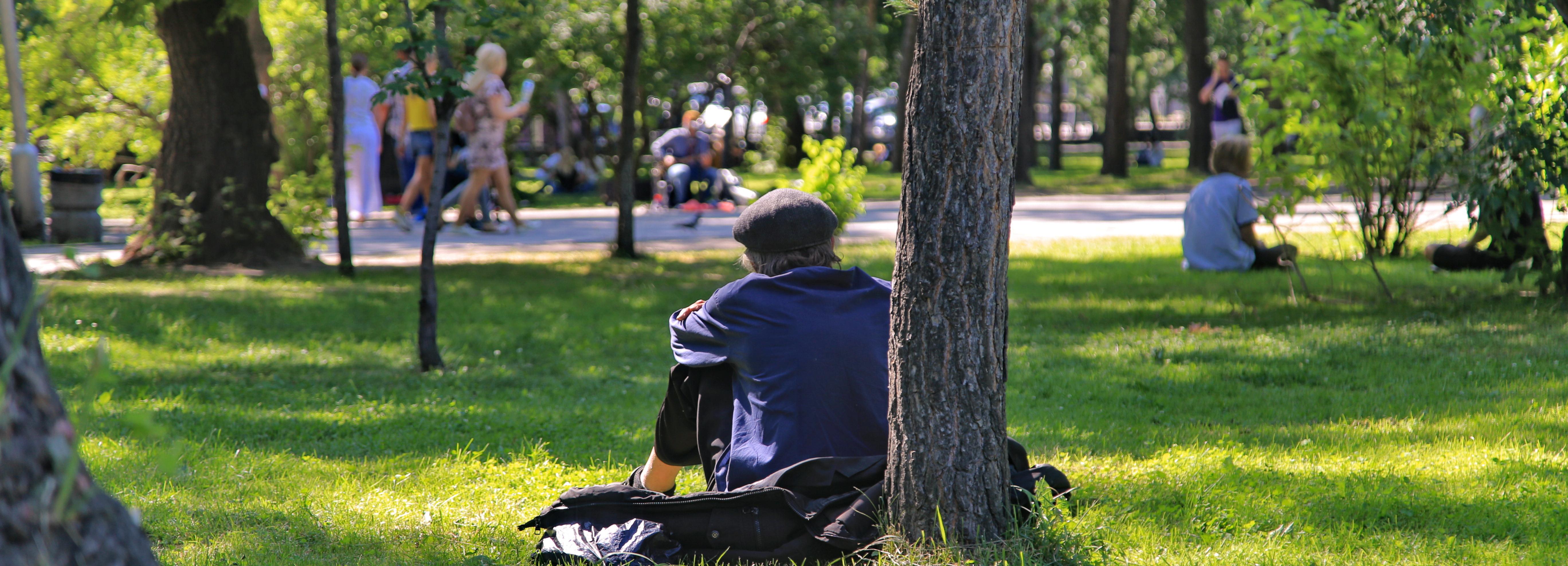 МЧС предупредило новосибирцев об аномальной жаре до 19 июля