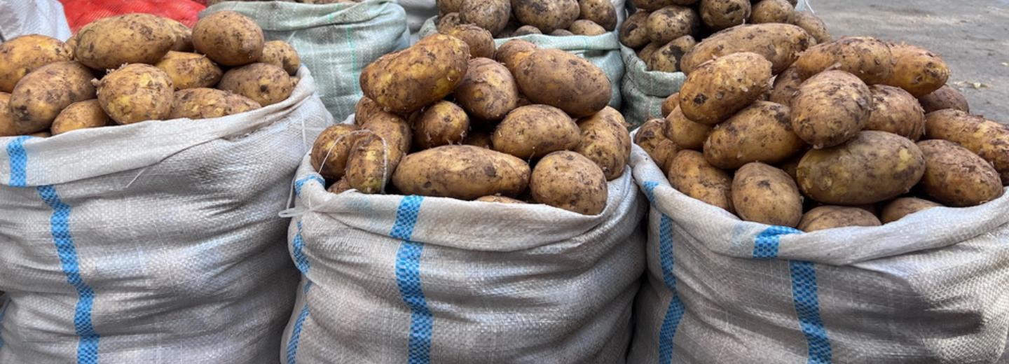 Коммерсанта задержали при попытке самовольно забрать изъятую картошку