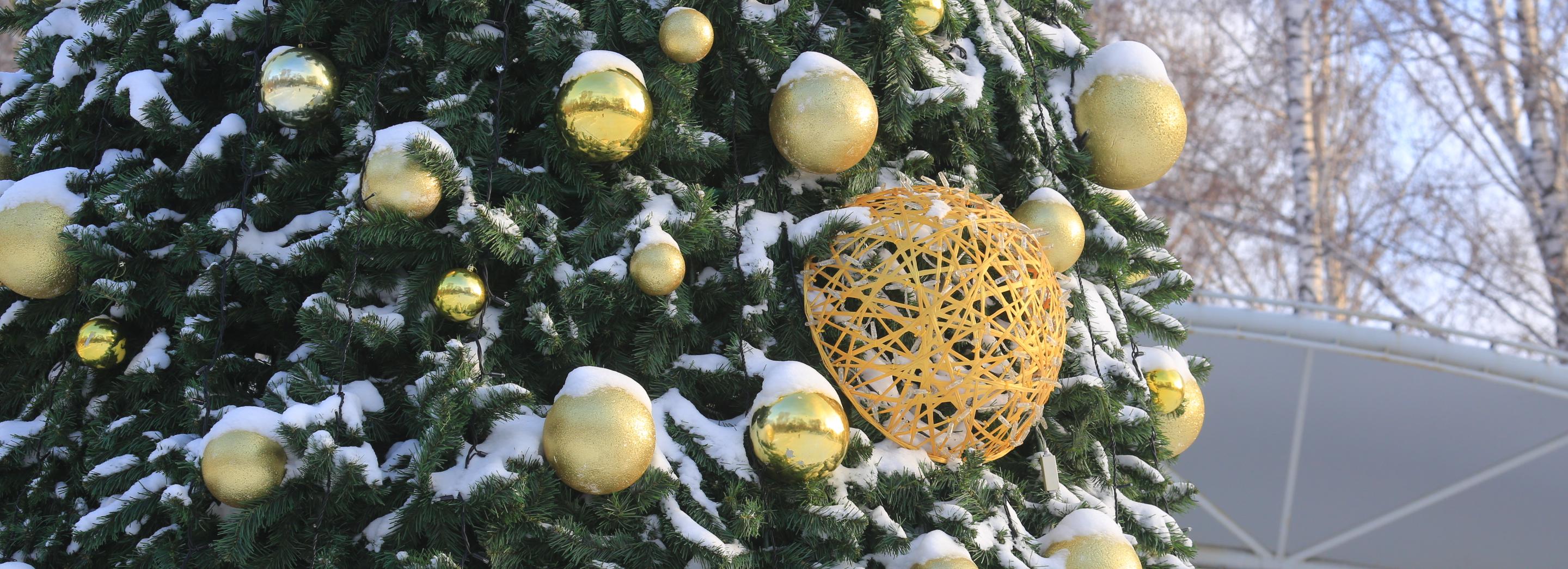 Больше 20 городских ёлок нарядили в Новосибирске — смотрим адреса