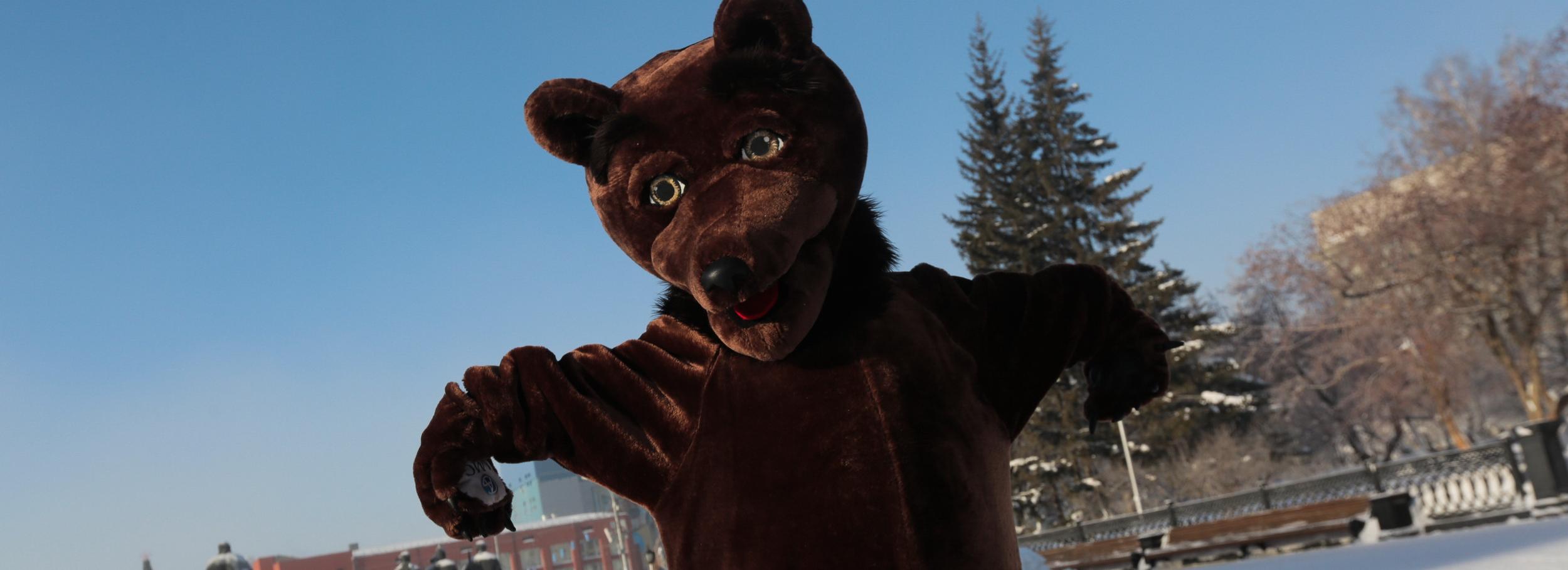 Поклонение культу медведя демонстрируют на выставке в Новосибирске