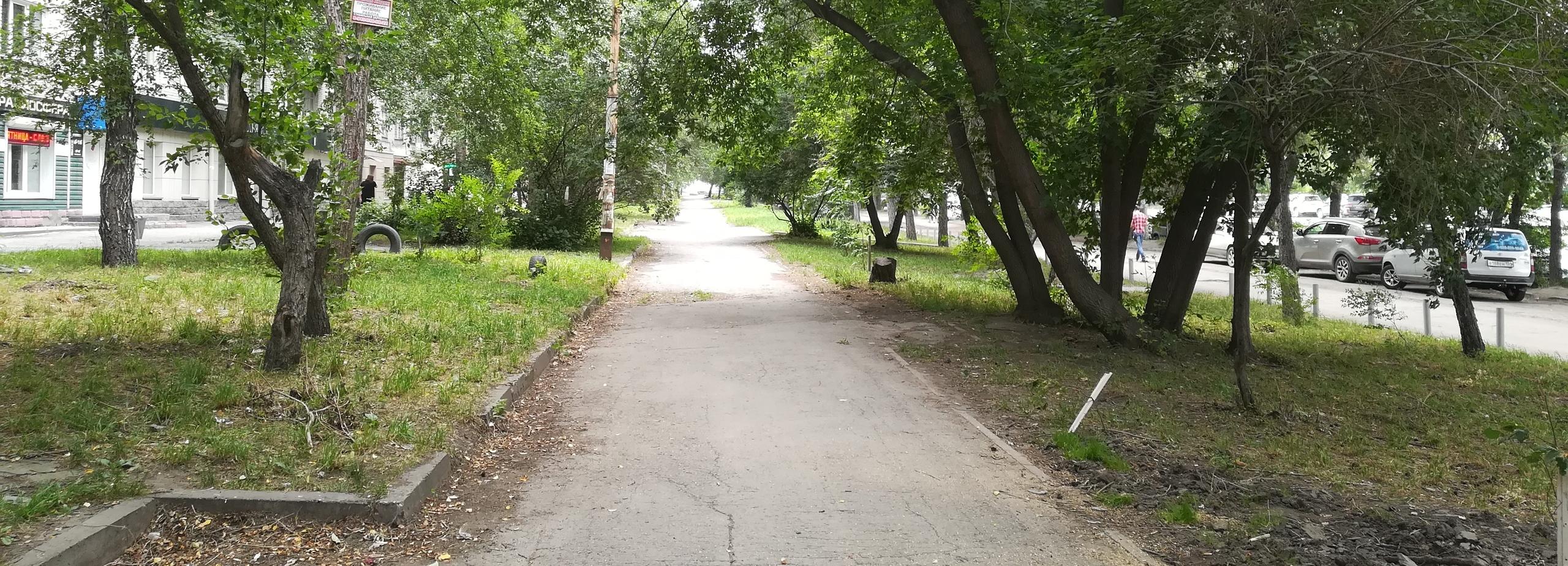 Мэрия Новосибирска запустила онлайн-опрос о Зыряновском сквере