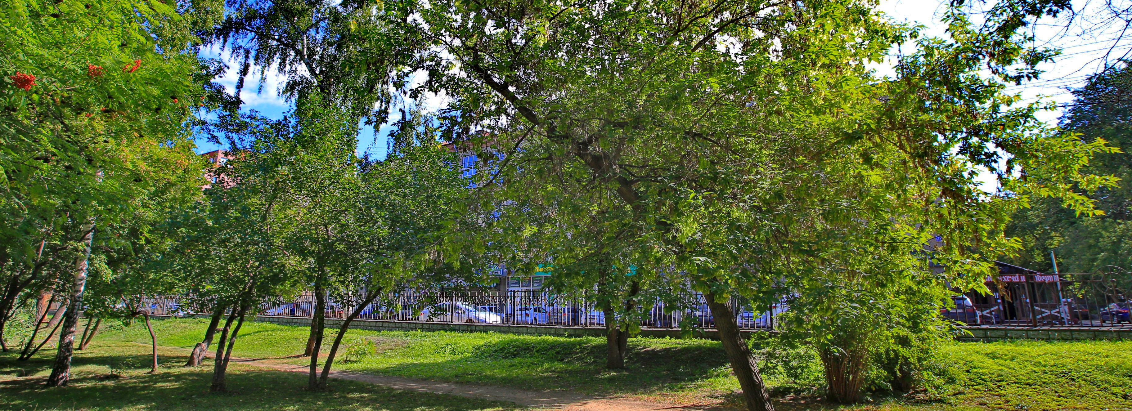 Нарымский сквер начнут реконструировать в 2025 году