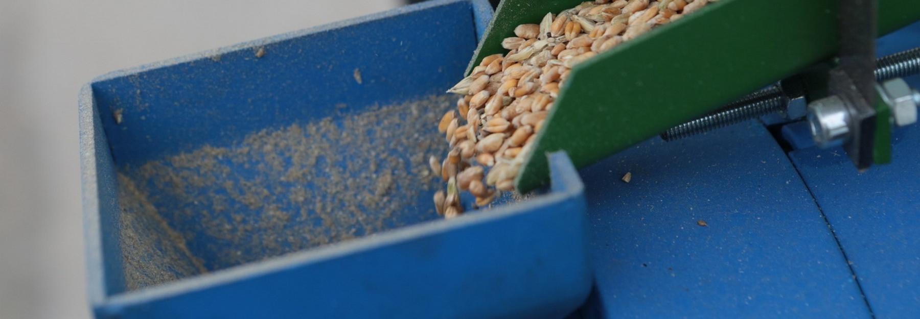 Коронавирус не повлияет на посевную в Новосибирской области