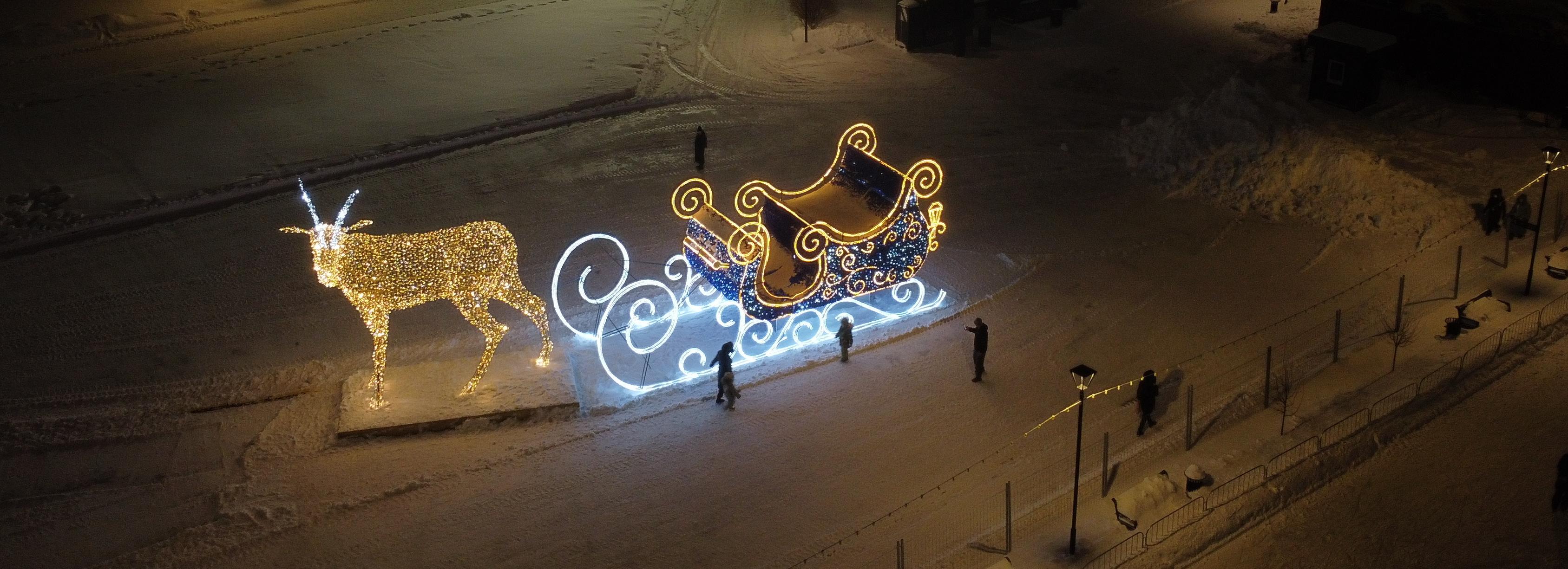 На Михайловской набережной заметили оленей