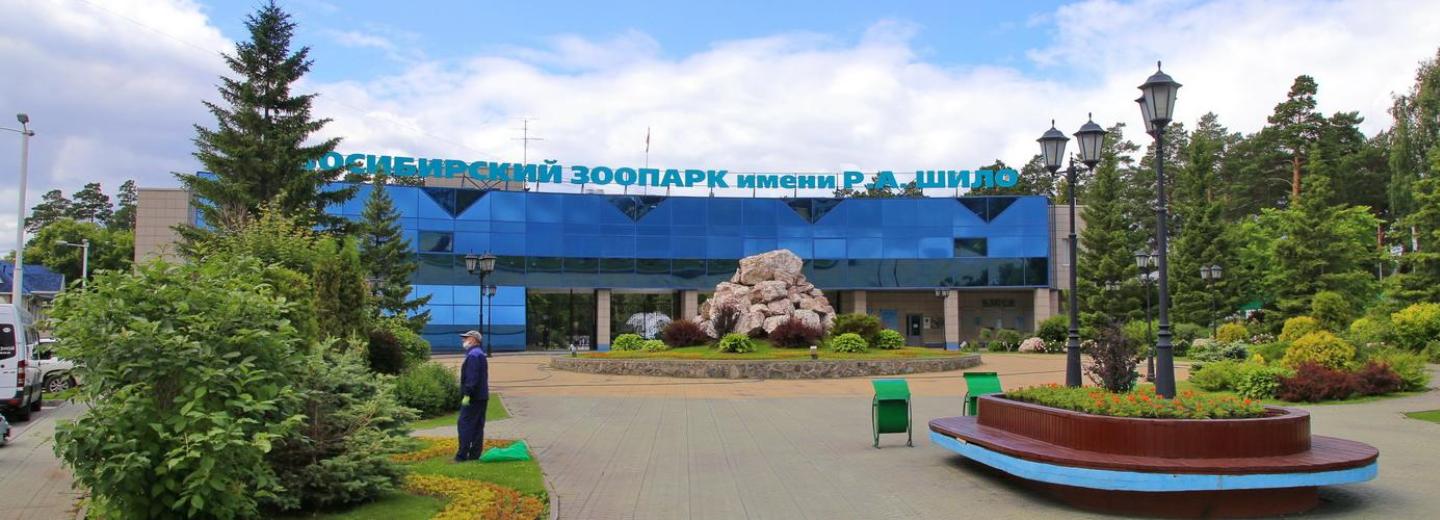 В Новосибирский зоопарк привезли ядовитого пучеглазого примата