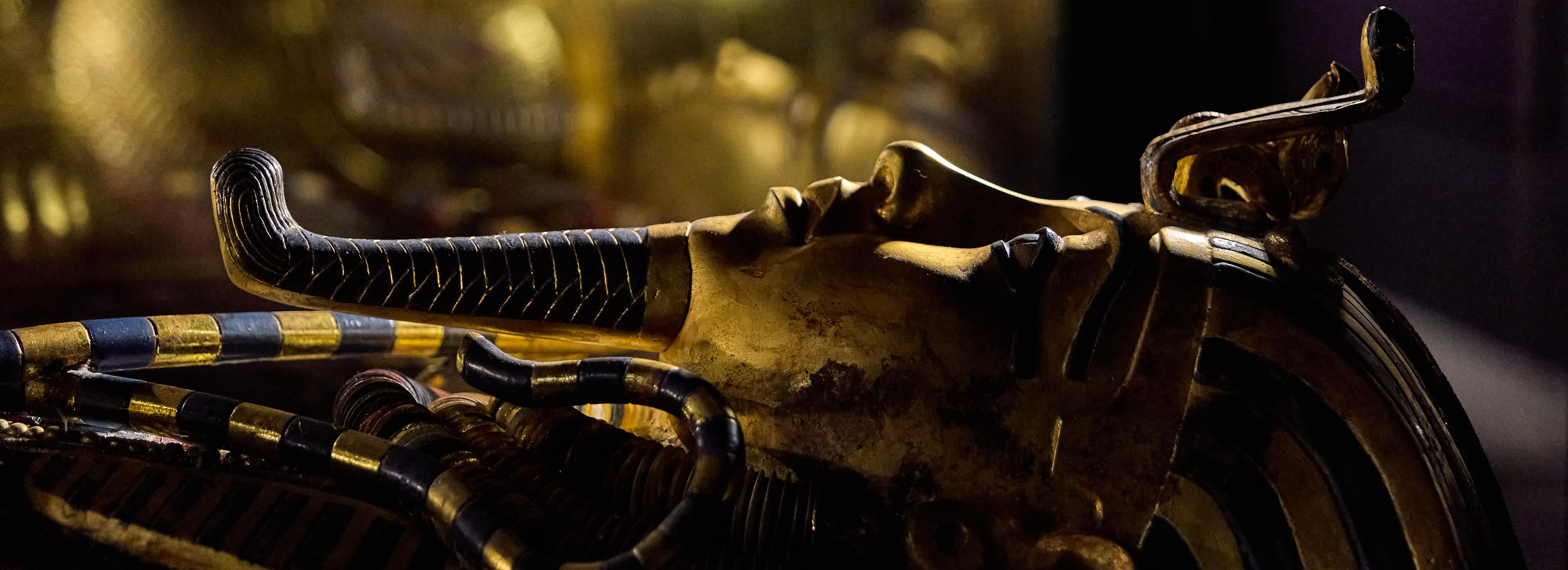 Сокровища гробницы Тутанхамона покажут в краеведческом музее