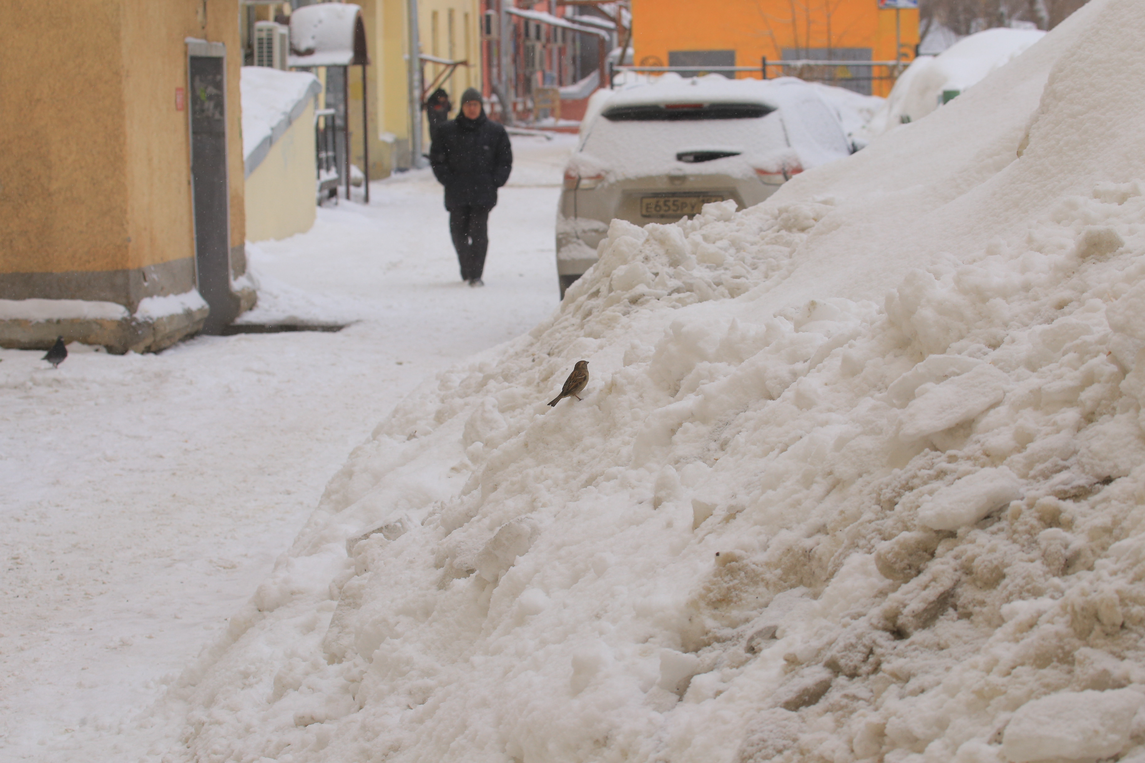 Скоро паводок: сугробы из опасной низины вывезут за полторы недели