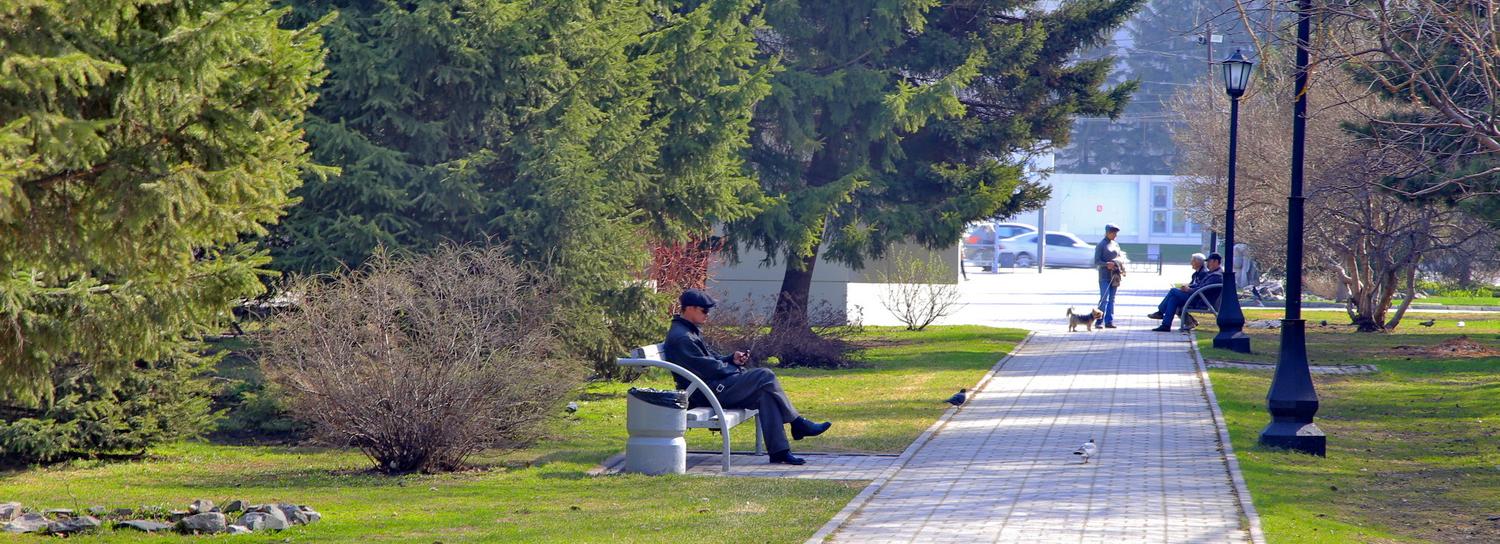 Первомайский сквер Новосибирска готовят к реконструкции
