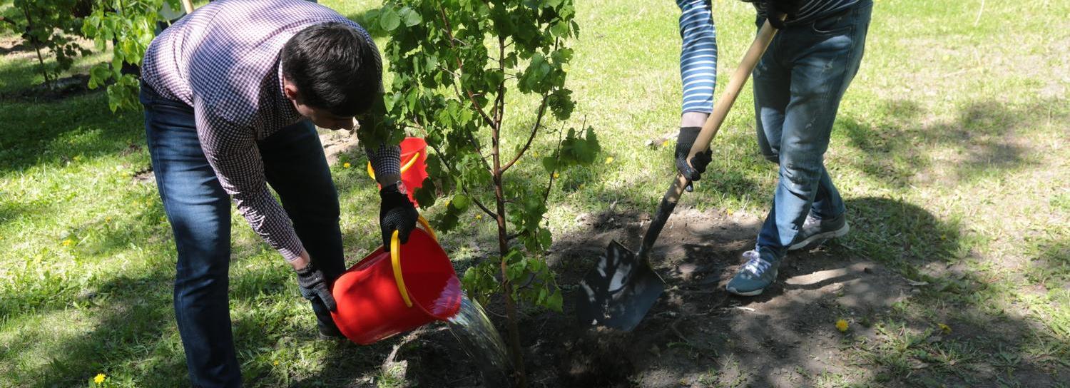 100 садов памяти появится в Новосибирской области в год 80-летия Победы