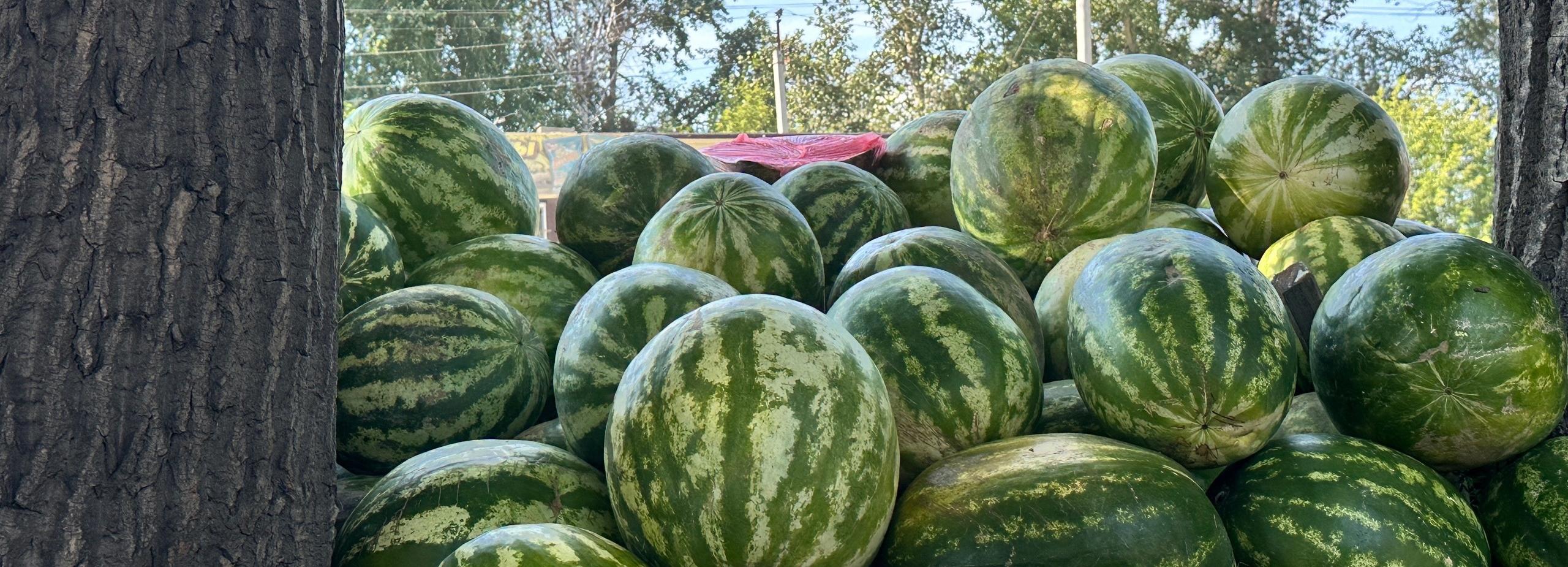 «Токсичные» арбузы изъяли у придорожных торговцев на Хилокском