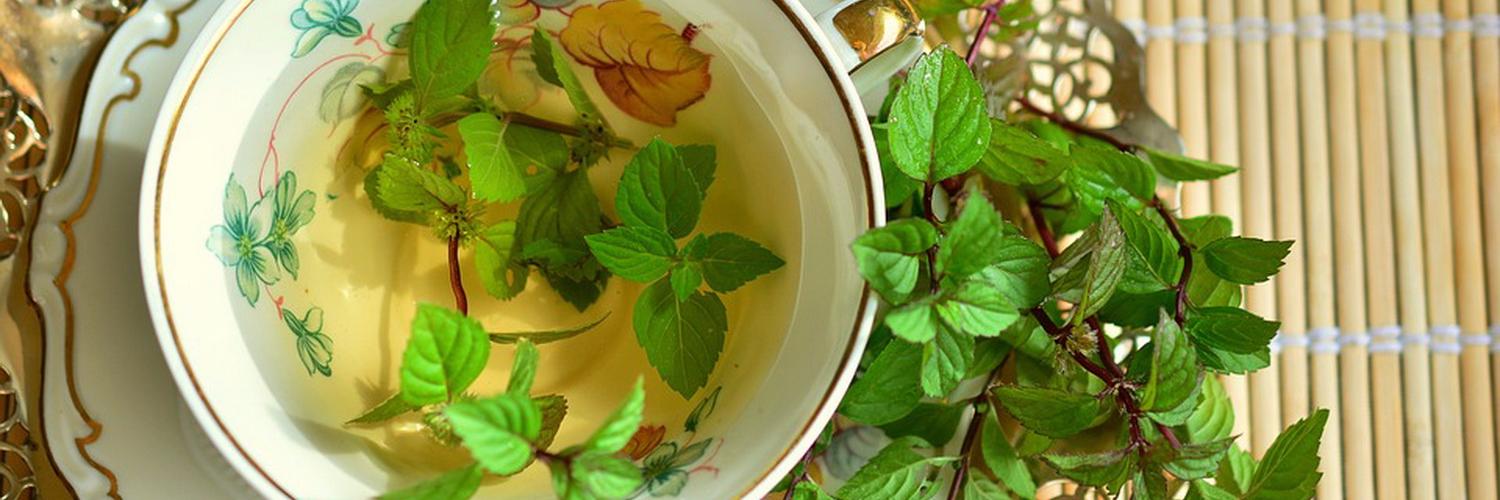 Вершки и корешки: где взять траву в Новосибирске