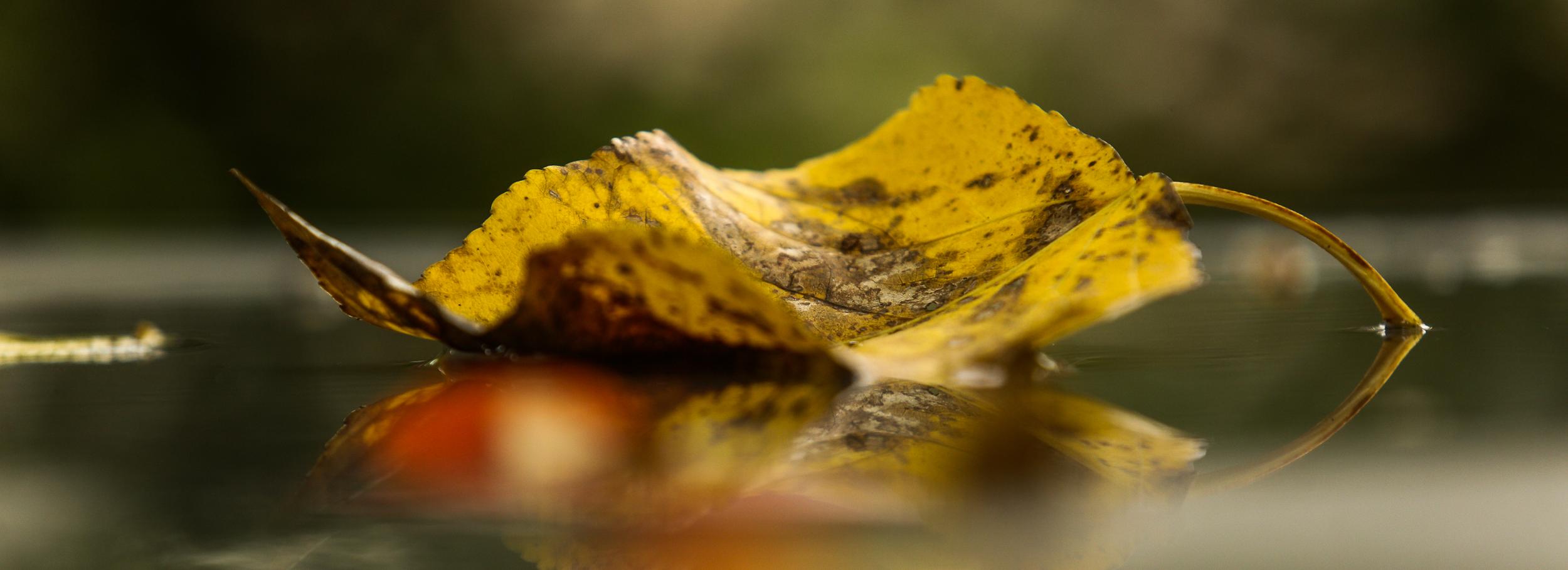 Вильфанд предупредил о заморозках до −3 градусов в Новосибирской области