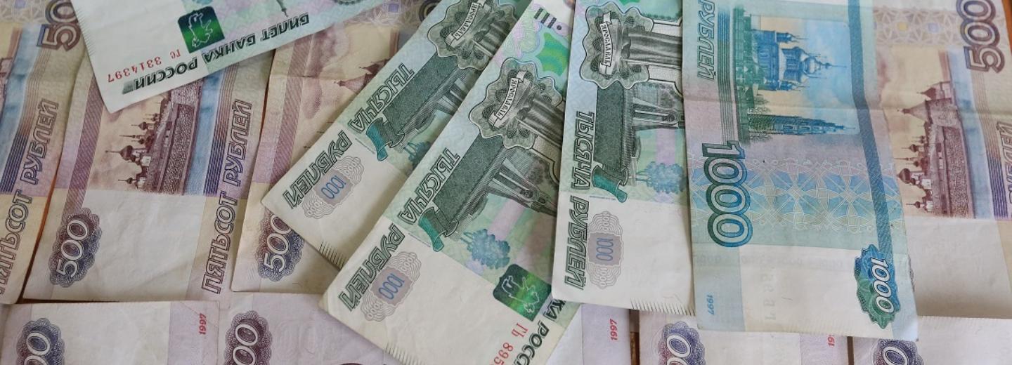 Выплаты к школе малоимущим и многодетным в Новосибирске: условия и суммы