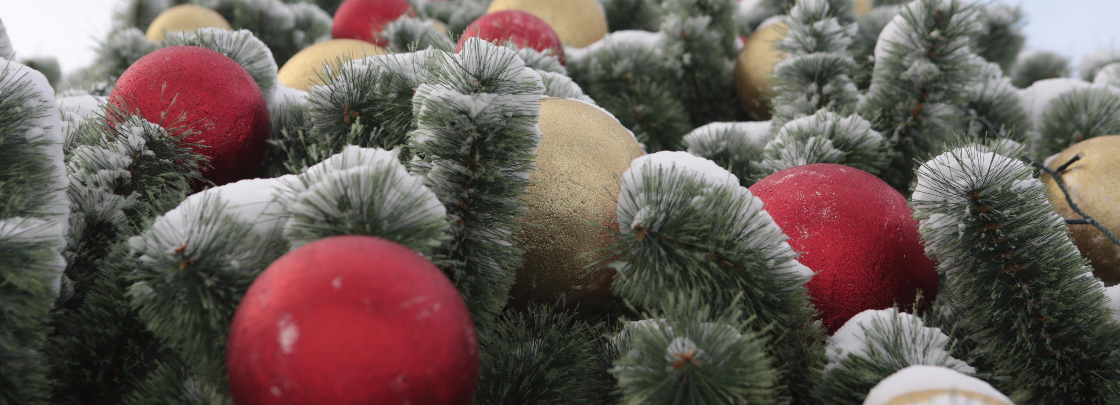 Мэр Кудрявцев позвал на ёлку «Время новогодних чудес»