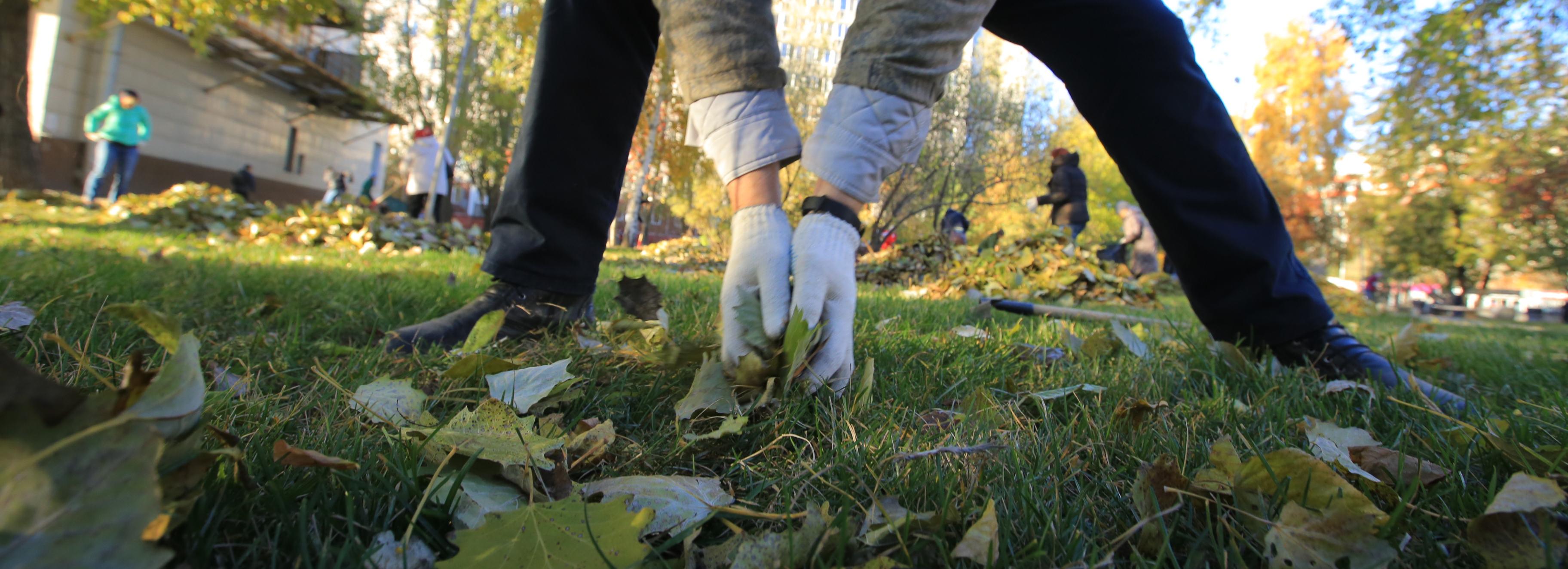 Неравнодушные новосибирцы досрочно вышли на субботник