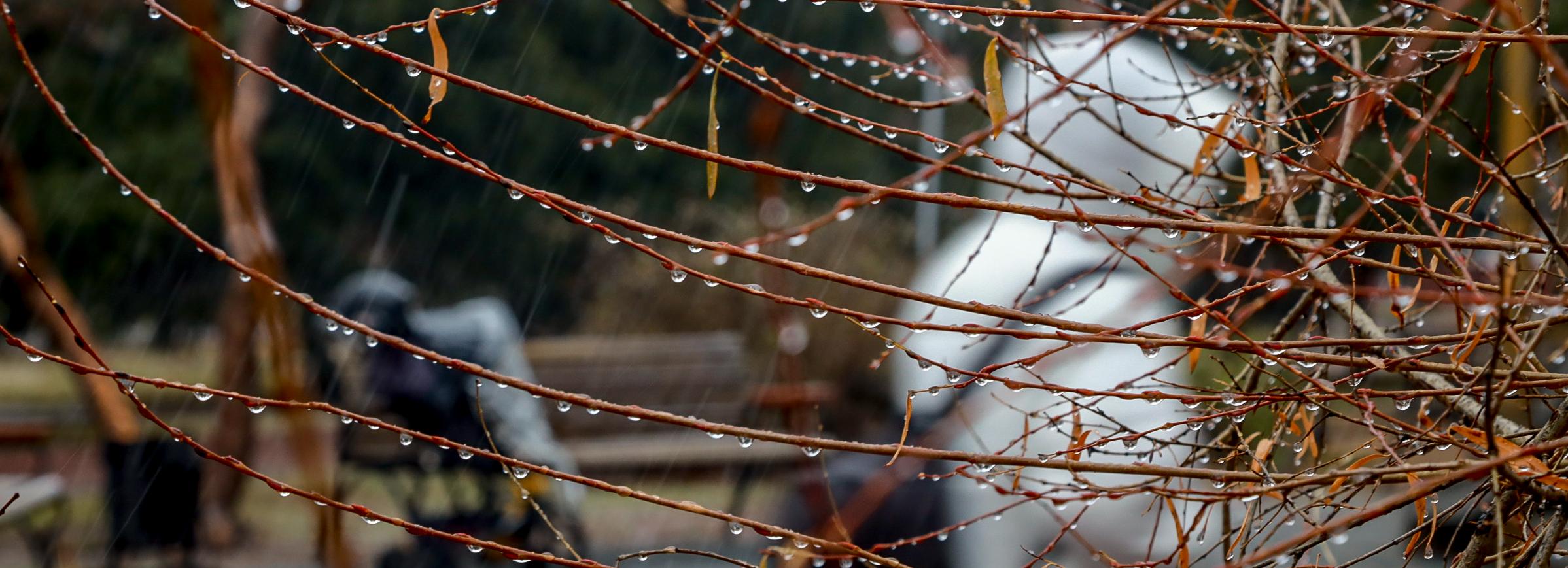 Гидрометцентр предупредил о резком ухудшении погоды в Новосибирске