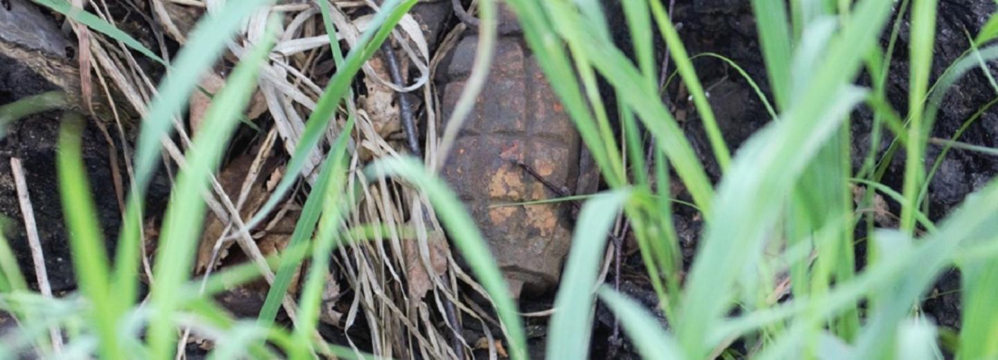 Гранату времён первой мировой нашли в лесу под Новосибирском