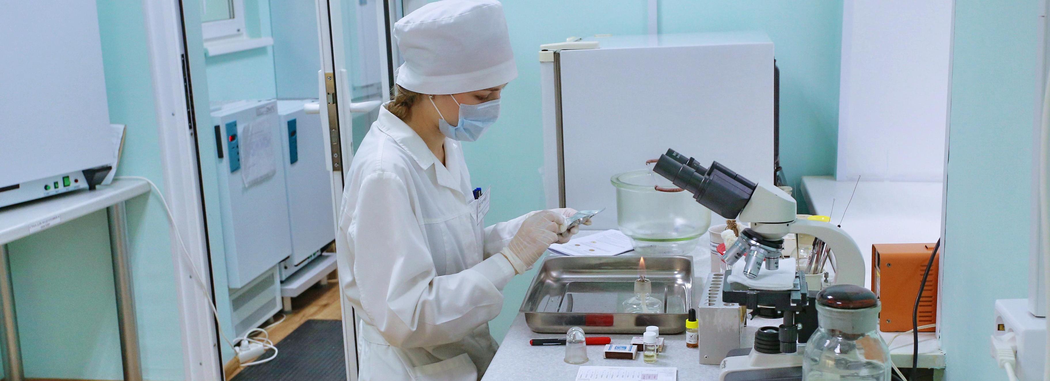 Сначала на животных: в Новосибирске нашли вещество, убивающее коронавирус