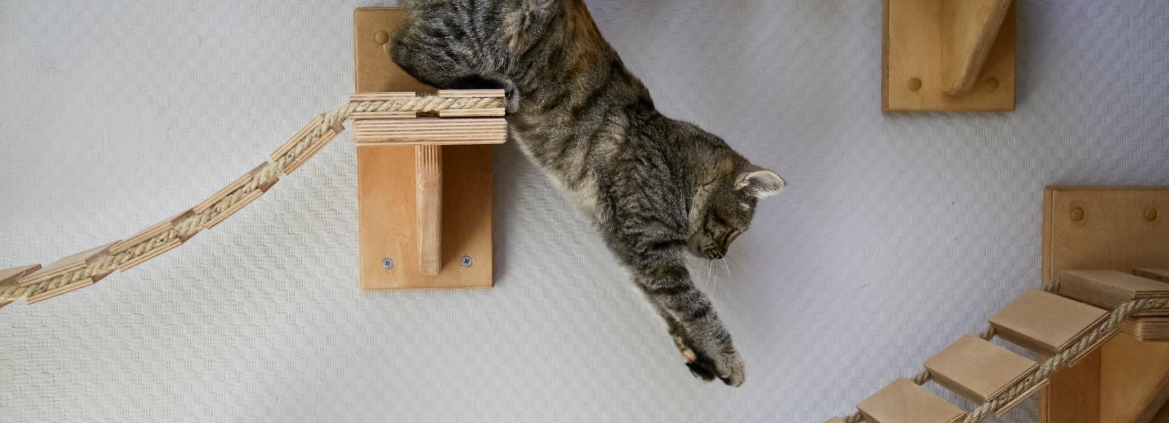 Если вы пропустили: спецоперация с Су-24, аэростат и ночной гиперлапс